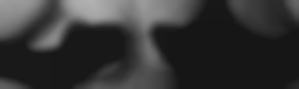 Banner Photo
